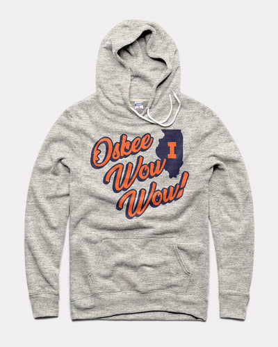 Athletic Grey Illinois Oskee Wow Wow! Vintage Hoodie Sweatshirt